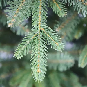 Home Holiday Decoration Party Decor Mental Stand Pe Pvc Artificial Christmas <b>Tree</b> With <b>Led</b> <b>Lights</b> - Product Image 2