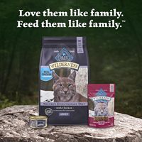 Nourriture sèche pour chats adultes Blue Buffalo Wilderness au poulet, nourriture pour chats sans céréales