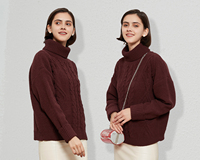 Pull décontracté pour femme en tricot d'automne avec motif torsadé, détail boutonné, col roulé - Tricoté à la machine