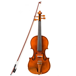 Violín Popular VLA-8 Hebei, Panel de Abeto, Fondo de Arce, Tapa de Fibra de Carbono, Instrumento Musical Hecho a Mano con Caja - Product Image 3