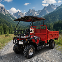 Vente d'été Dongdao : Tricycle cargo de haute qualité, type buggy des dunes, pour la livraison de marchandises
