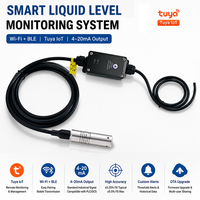 Transmisor de Nivel Inalámbrico Tuya Smart Wi-Fi/BLE 5.0, Salida Dual de 4-20 mA, Sensor de Presión Sumergible de Alta Precisión IP68 para Agua y Aceite