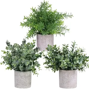 थोक 8.3 "-9" मिनी कमरों का पौधों कृत्रिम नीलगिरी बोकसवुद दौनी हरियाली में बर्तन