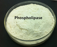Fabricant d'enzyme Phospholipase A1 de haute qualité en Chine