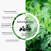 Huile Essentielle Pure et Naturelle d'Armoise Biologique 100% Distillée à la Vapeur, Qualité Supérieure, pour Aromathérapie, Soins de la Peau et Massage