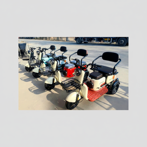 Triciclo Eléctrico de Carga de 3 Ruedas con Marco de Acero de Alto Carbono de 48V y una Sola Velocidad, Personalizable a Precio de Fábrica, para Adultos, a Precio Económico - Product Image 1