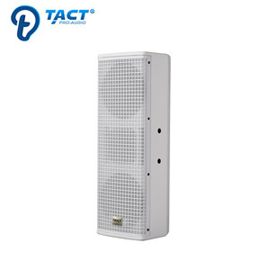 Sistema di Altoparlanti a Colonna TACT Double 6 Pollici Full Range per Sale Conferenze e Riunioni - Product Image 2