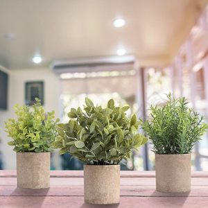 <span class=keywords><strong>Mini</strong></span> <span class=keywords><strong>Eucalyptus</strong></span> Artificiel <span class=keywords><strong>en</strong></span> <span class=keywords><strong>Pot</strong></span> Lot de 3 Plantes Vertes Artificielles <span class=keywords><strong>en</strong></span> Plastique avec <span class=keywords><strong>Pot</strong></span> pour la Maison - Product Image 3