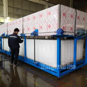 商业 3 吨制冰机用于渔业的价格