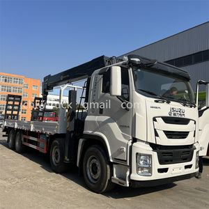 رافعة ايسوزو FTR 10 طن هيدروليكية متنقلة-حلول هندسية مخصصة - Product Image 6