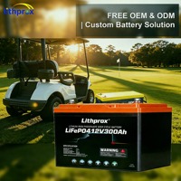 Batterie de secours 12,8 V 300 Ah LFP au phosphate de fer et de lithium à décharge profonde pour chariots de golf, applications marines, VR, maisons et systèmes solaires CAN M8