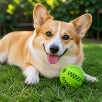 Balle distributrice de friandises pour chien interactive en caoutchouc, moderne, indestructible, résistante aux morsures, jouet à mâcher, 2 tailles disponibles