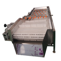 Nieuwe Lerford Multifunctionele Volledig Automatische Aardappelchips- en Frietlijn, Voedselveilig RVS 304, 1,1 kW, 220V/380V