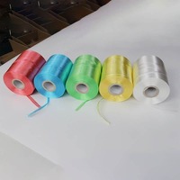 Cuerda de Polietileno YS Ecológica de Alta Tenacidad, 28 mm de Diámetro, 100% Polietileno, para Embalaje de Cartones y Agrupación de Mercancías