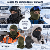 Cagoule en polaire coupe-vent pour l'hiver, masque de ski, doublure de casque de moto, vente en gros, couleurs assorties, emballage en vrac