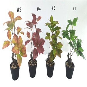 2025 MÁS NUEVO 33CM POLIÉSTER ARTIFICIAL A PRUEBA DE AGUA HOJAS DE BANANA/PLANTAS/ÁRBOL EN MACETA - Product Image 1