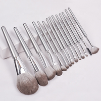 Ensemble de pinceaux de maquillage pour le visage en poils synthétiques de haute qualité avec manche en bois argenté professionnel, 14 pièces, échantillons gratuits, étiquette privée