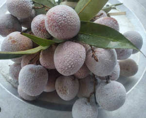 100% fruits de litchi congelés naturels prix compétitif emballage de fruits congelés Oem/Odm de qualité supérieure du Vietnam - Product Image 6