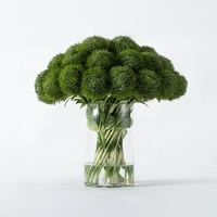 Flores Artificiales de Dianthus Verde al por Mayor con Jarrón de Vidrio para Arreglos Florales en Hoteles y Restaurantes