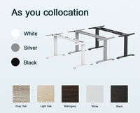 Nouveau design Table de bureau réglable Mobilier de conception ergonomique Table de poste de travail Bureau à 2 pieds Bureau personnalisé assis à debout