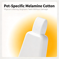 Stylo Nettoyant Dentaire pour Animaux au Parfum Frais, Outil en Plastique pour l'Élimination du Tartre et de la Plaque Dentaire, Accessoire de Blanchiment des Dents pour Chiens et Chats