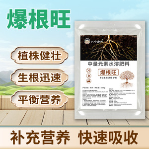 Fertilizante soluble en agua Bao Gen Wang, 1000g, promotor del crecimiento de raíces con elementos medios para plantas verdes, flores, frutas y verduras - Product Image 3