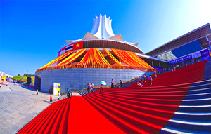 Gân 100% polyester hiện đại kim đấm không dệt triển lãm đám cưới cảm thấy thảm sàn và thảm - Product Image 5