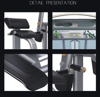 Machines de gymnastique commerciales Musculation Fitness Force Machine Nouveau type Extension arrière pour centres de gymnastique