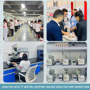 Tùy Biến 6V 12V 24Mm Nhỏ Micro Động Cơ Không Chổi Than Mô-men Xoắn Cao Điện Áp Thấp DC Động Cơ Điện - Product Image 6