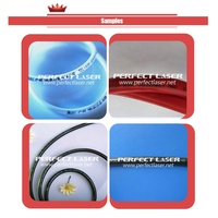 Sistema de Tinta Automático Industrial Perfect Laser para Etiquetas, Impresora de Inyección de Tinta para Imprimir Fechas en Bolsas, Botellas y Paquetes de Plástico PVC