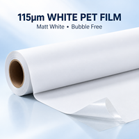 Rouleaux de film PET auto-adhésifs imprimés pour animaux de compagnie, matériaux d'affiches mats durables, vente en gros d'usine