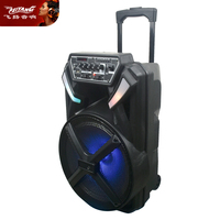 Haut-parleur audio portable de type tour, modèle privé, économique, pour karaoké et sonorisation domestique, avec Bluetooth, fonction chariot, LED couleur, 15 pouces, fonction Coran