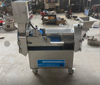 Premium Verdikkend Materiaal Dubbelkopige Multifunctionele Aardappel- & Fruit Snijmachine 220V Grote Catering Verwerkingsinstallatie