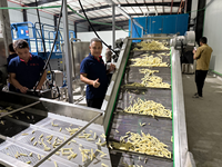 Ligne de production de frites surgelées entièrement automatique industrielle pour la fabrication de frites de pommes de terre et de fruits, capacité personnalisée