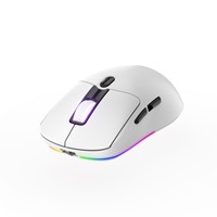 Souris de jeu sans fil ergonomique légère avec rétroéclairage optique RGB LED, 7 boutons, USB/Type-C, pour droitier, rechargeable, en stock