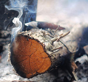 Aceite Esencial Puro de Madera de Cade de Aarnav Global Exports - Origen España, Destilado al Vapor, Certificado GMP, Nutritivo y Reafirmante, Venta al Por Mayor - Product Image 4