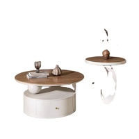 Table basse ovale moderne de luxe 2026 pour salon, mobilier de salon, table basse ovale créative, nouveau design pour usage domestique