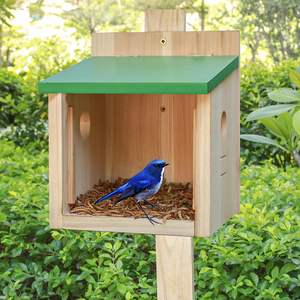 Voliera da esterno, mangiatoia per insetti blue bird meal, con finestra di visualizzazione, porta rimovibile con facile pulizia all'esterno - Product Image 3