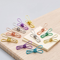 Clips de Papel Metálicos Bonitos, Suministros de Oficina, Mini Clips Coloridos para Fotos
