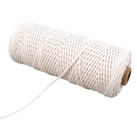 Haute qualité 3mm 100% coton naturel macramé cordon bricolage artisanat tricot et emballage corde ficelle ficelle