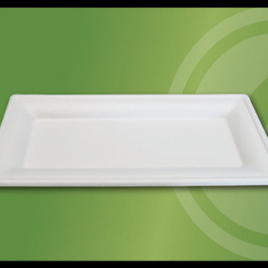 OEM Jetable Écologique Bagasse Assiette - Product Image 1