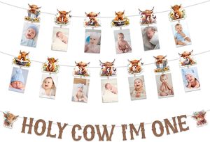 Striscione per il primo compleanno 'Holy Cow Im One Highland Cow' e striscione fotografico mensile per decorazioni per baby shower e compleanni - Product Image 2