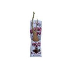 Autocollants magnétiques pour réfrigérateur, articles de décoration intérieure uniques et personnalisés, vente en gros d'arbres Baobab originaux - Product Image 1