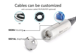 IP68 không thấm nước thép không gỉ ngâm chìm chất lỏng cảm biến mực nước thăm dò 4-20mA 0-5V 0-10V dụng cụ đo lường - Product Image 4
