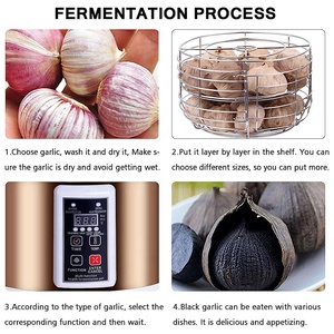 Fermenteur d'ail noir intelligent automatique 6L – Fermentation rapide, pour vin de riz doux et yaourt - Product Image 5