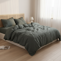 Parure de lit 3 pièces en lin français 100 % naturel pur, housse de couette, drap plat, doux, respirant, anti-humidité, lavé, 200 fils/cm²