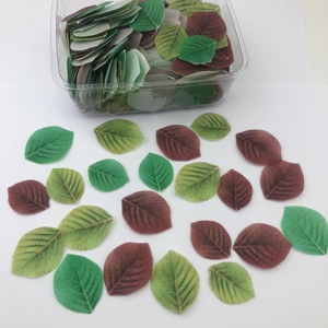 Fiori, Farfalle, Foglie di Acero, Fiocchi di Neve e Dollari in Carta Wafer Commestibile per Decorazione Torte - Product Image 5