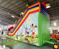 Toboggans gonflables Mickey Mouse, toboggan aquatique gonflable personnalisé, toboggans aquatiques gonflables pour enfants