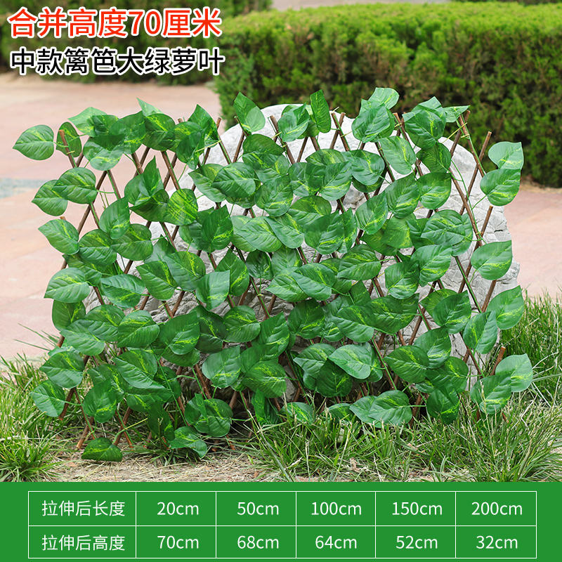 Clôture moyenne-grande feuille verte