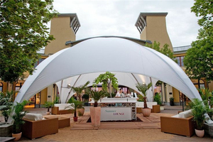 Structures extérieures Tente de célébration en forme de dôme Tente de luxe élégante en forme de dôme pour les fêtes d'objectifs d'anniversaire - Product Image 4